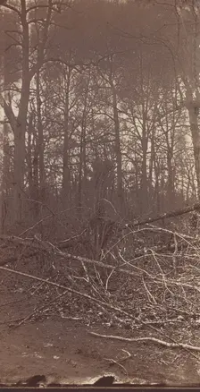 The Wilderness Battlefield, 1864. Creator: Unknown