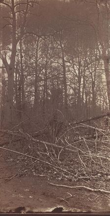 The Wilderness Battlefield, 1864. Creator: Unknown