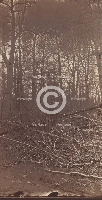 The Wilderness Battlefield, 1864. Creator: Unknown.