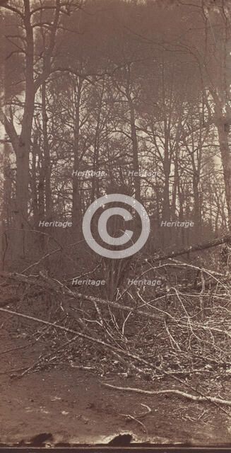 The Wilderness Battlefield, 1864. Creator: Unknown.