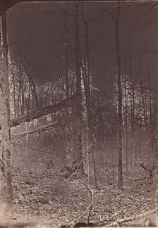 The Wilderness Battlefield, 1864. Creator: Unknown