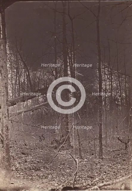The Wilderness Battlefield, 1864. Creator: Unknown.