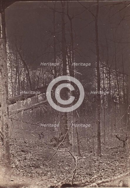 The Wilderness Battlefield, 1864. Creator: Unknown.