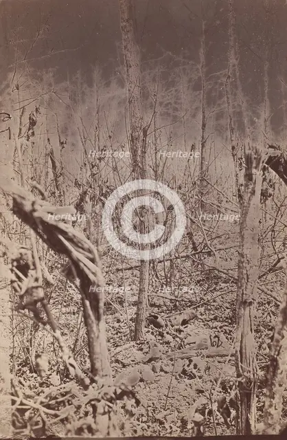 The Wilderness Battlefield, 1865-67.  Creator: Unknown.