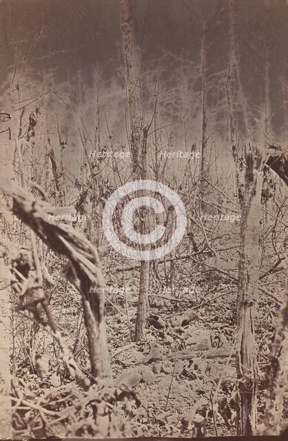 The Wilderness Battlefield, 1865-67.  Creator: Unknown.