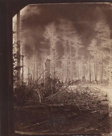 The Wilderness Battlefield, 1865-67. Creator: Unknown