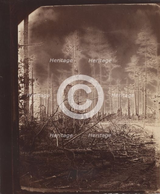 The Wilderness Battlefield, 1865-67.  Creator: Unknown.