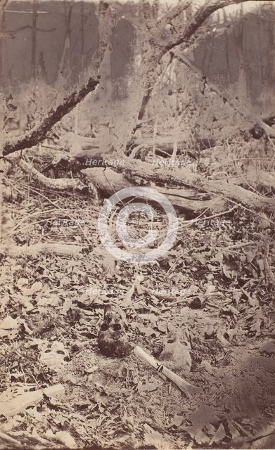 The Wilderness Battlefield, near Spotsylvania, Virginia, 1865 (?). Creator: Unknown.