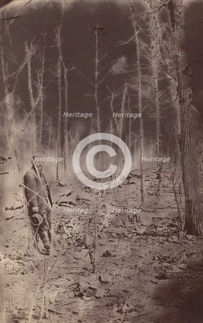 The Wilderness Battlefield, near Spotsylvania, Virginia, 1865 (?). Creator: Unknown.