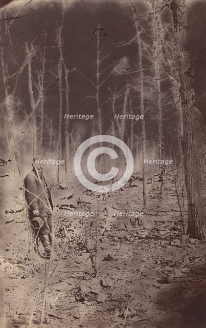 The Wilderness Battlefield, near Spotsylvania, Virginia, 1865 (?). Creator: Unknown.