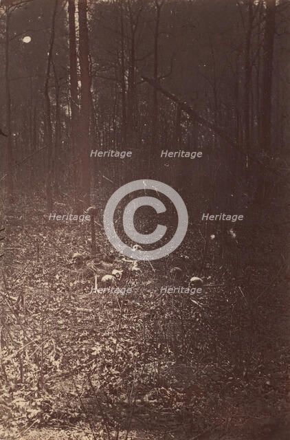 The Wilderness Battlefield, near Spotsylvania, Virginia, 1865 (?). Creator: Unknown.
