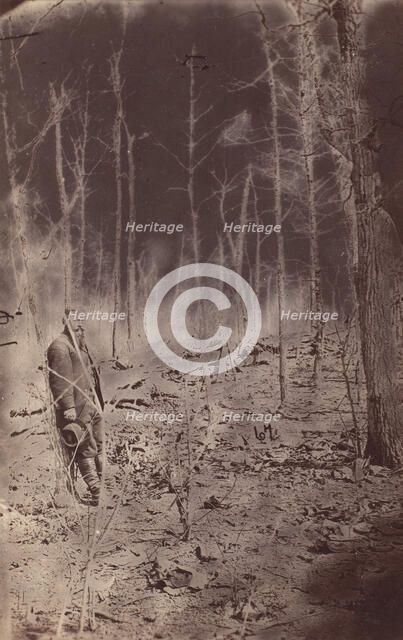 The Wilderness Battlefield, near Spotsylvania, Virginia, 1865 (?). Creator: Unknown.