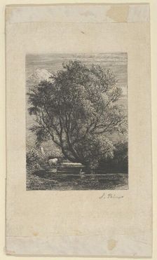 The Willow, 1850. Creator: Samuel Palmer