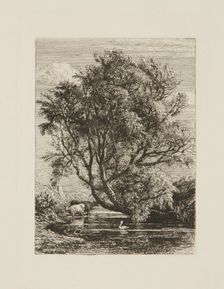 The Willow, 1850. Creator: Samuel Palmer
