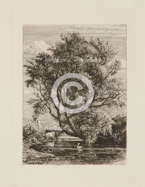 The Willow, 1850. Creator: Samuel Palmer.