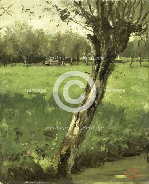 The Willow, c.1873-c.1903. Creator: George Poggenbeek.