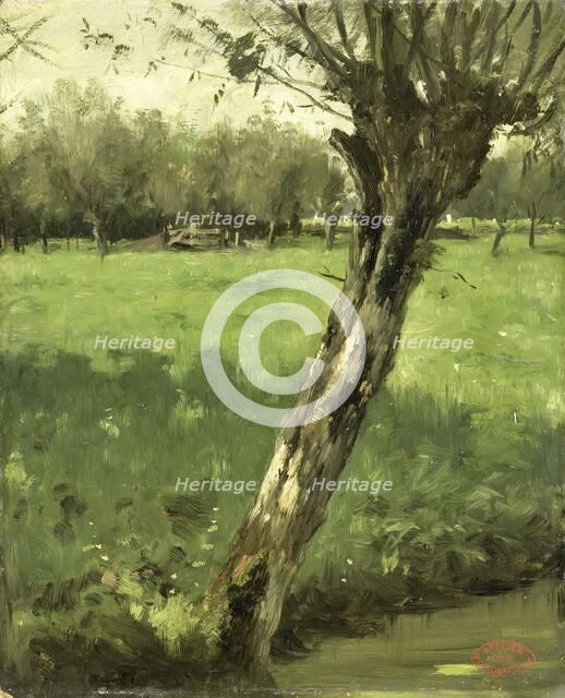 The Willow, c.1873-c.1903. Creator: George Poggenbeek.