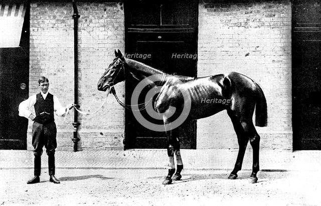 The Winner of the Derby: Lord Rosebery's Sir Visto, 1895. Creator: Clarence Hailey.