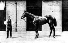 The Winner of the Derby: Lord Rosebery's Sir Visto, 1895. Creator: Clarence Hailey