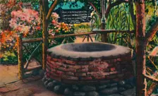 The Wishing Well at Ramona's Marriage Place, Old Town. San Diego, California c1941