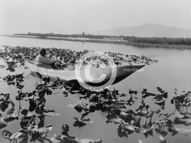 The wokas season-Klamath, c1923. Creator: Edward Sheriff Curtis.