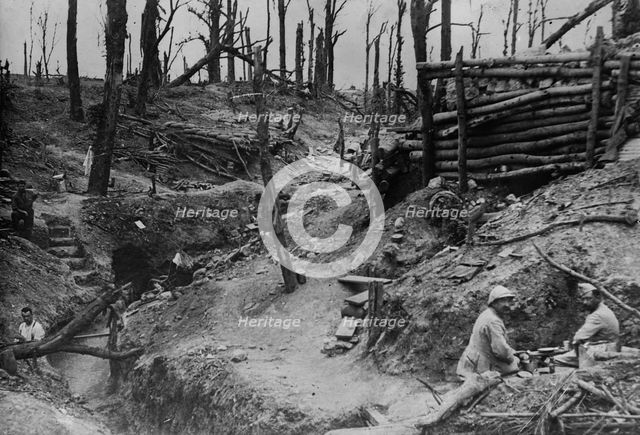 The wood called Des Fermes in the Somme, between c1915 and c1920. Creator: Bain News Service.