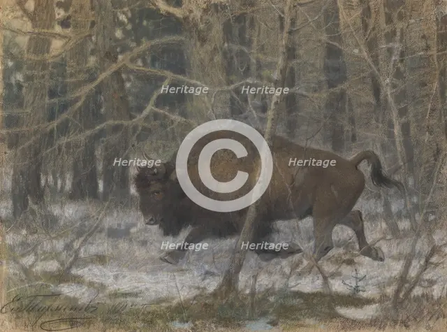 The wood bison. Artist: Tichmenev, Evgeny Alexandrovich (1869-1934)