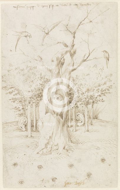 The Wood Has Ears, The Field Has Eyes.