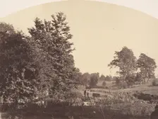 The Woodland Stream, 1856. Creator: Plunket