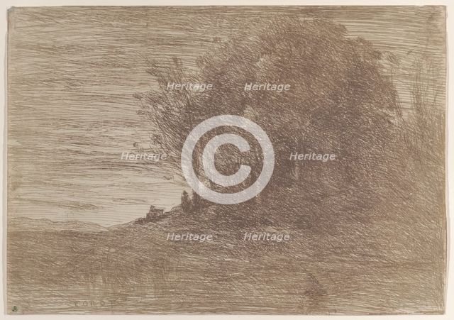 The Woods of the Hermit (Le Bois de l'ermite), 1858. Creator: Jean-Baptiste-Camille Corot.