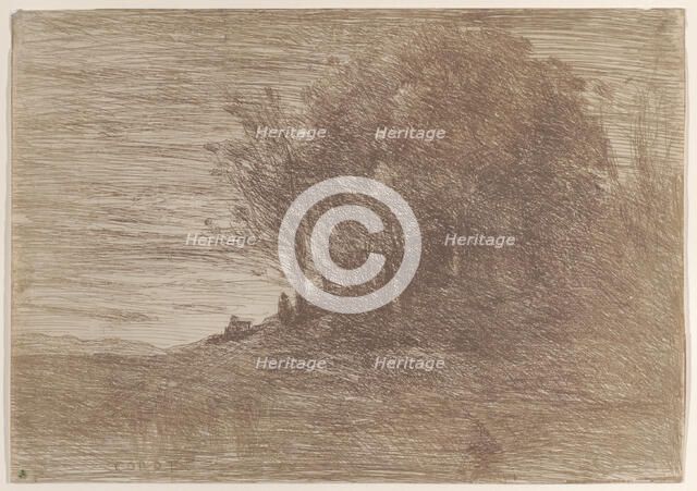 The Woods of the Hermit (Le Bois de l'ermite), 1858. Creator: Jean-Baptiste-Camille Corot.