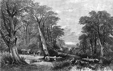 "The Woods in Autumn", by Henry Jutsum, in the Exhibition of the British Institution, 1864. Creator: Unknown