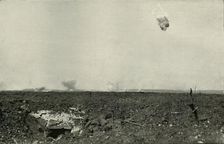 The "Woolly Bear". (1919). Creator: Unknown