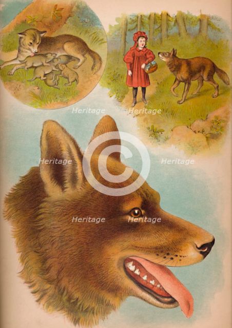 'The Wolf', c1900. Artist: Helena J. Maguire.