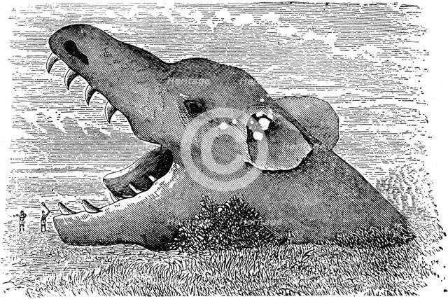 The wolf Fenris of Scandinavian mythology, 19th century. Artist: Unknown