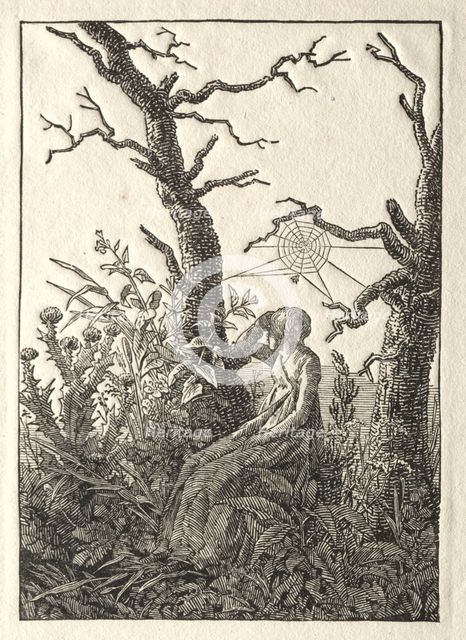 The Woman with the Spider Web between Bare Trees, 1803. Creator: Caspar David Friedrich (German, 1774-1840).