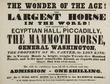 The Wonder of the Age! The Largest Horse in the World, Egyptian Hall, Piccadilly, 1846. Creator: Unknown