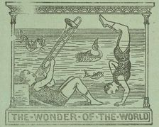 The Wonder of the World, 1891. Creator: Unknown