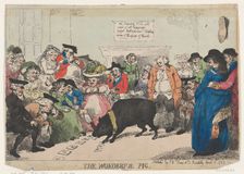 The Wonderful Pig, April 12, 1785., April 12, 1785. Creator: Thomas Rowlandson