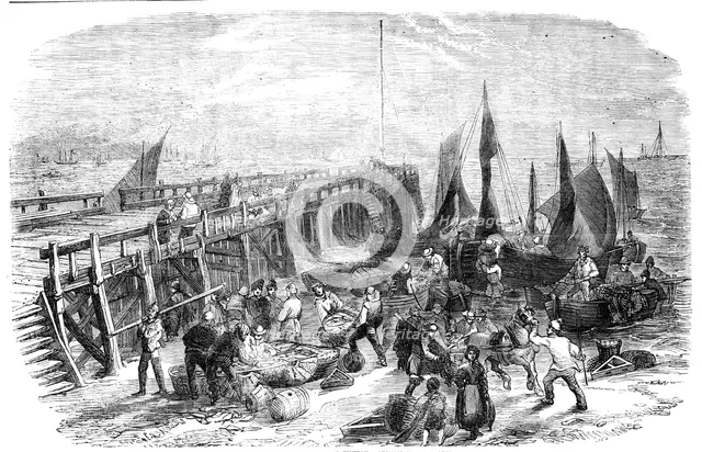 The Yarmouth Herring Fishery - Return of the Boats, 1856.  Creator: Walter Ray Woods.
