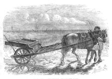 The Yarmouth Troll, or Beach-cart, 1861. Creator: Unknown