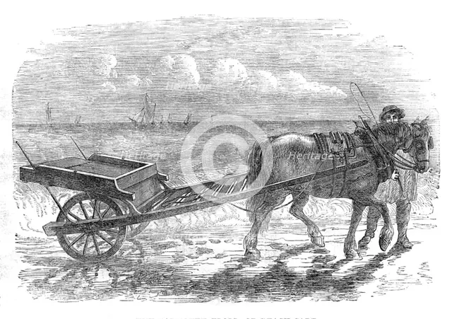 The Yarmouth Troll, or Beach-cart, 1861. Creator: Unknown.