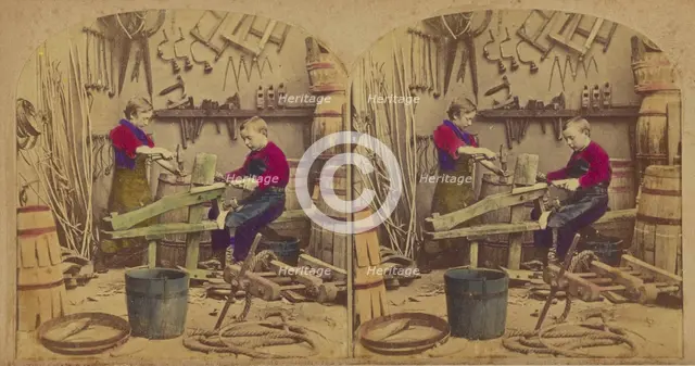 The Young Coopers, about 1860. Creator: London Stereoscopic & Photographic Co.