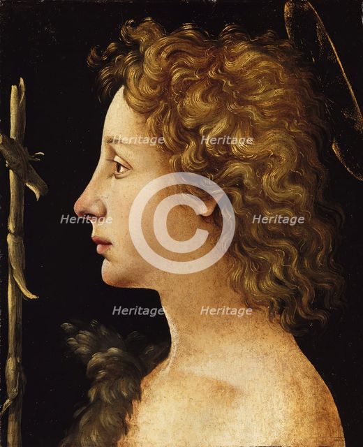 The Young Saint John the Baptist, ca. 1480-82. Creator: Piero di Cosimo.