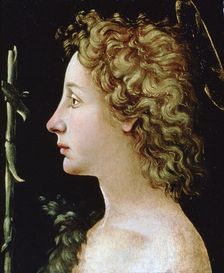 The Young Saint John the Baptist c1482-1522. Artist: Piero di Cosimo