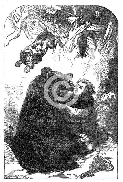 "The Young Yachtsmen:" Granville and the Bear, 1864. Creator: Unknown.