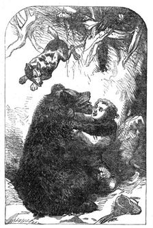 "The Young Yachtsmen:" Granville and the Bear, 1864. Creator: Unknown