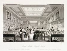 The Zoological Gallery, British Museum, Holborn, London, c1850. Artist: William Radclyffe