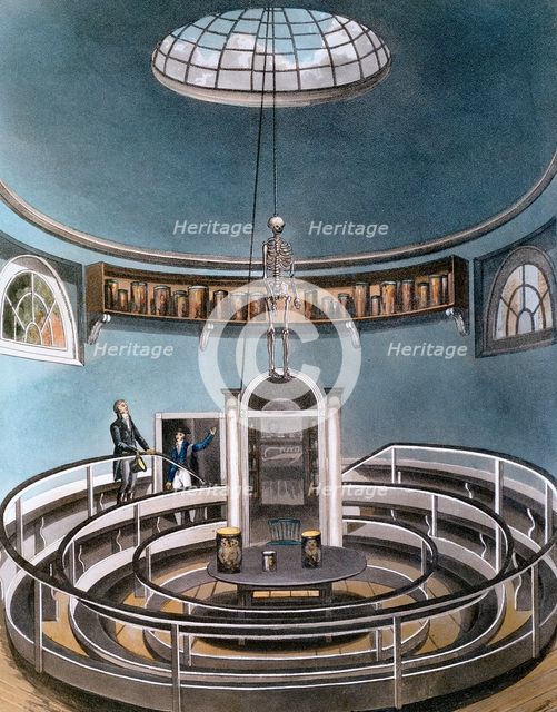 'Theatre of Anatomy', Cambridge, 1815. Creator: Unknown.