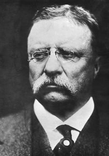 Theodore Roosevelt (1858-1919), twenty-sixth president of the United States, c1900s. Creator: Unknown